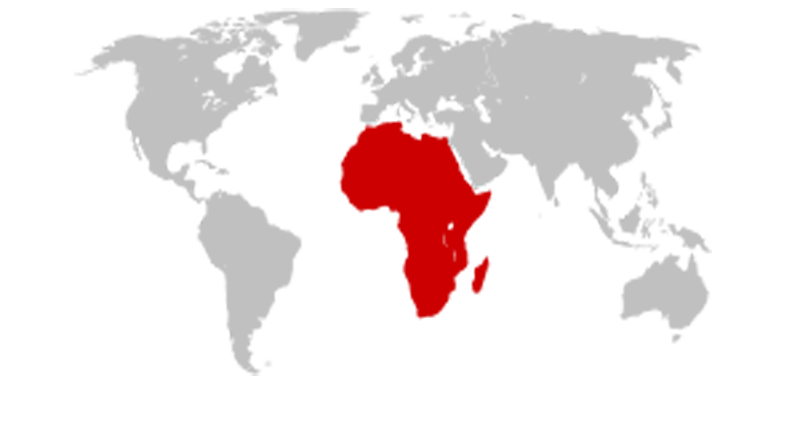 Когда и что посетить в Африке