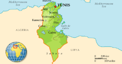 Что интересного в Тунисе