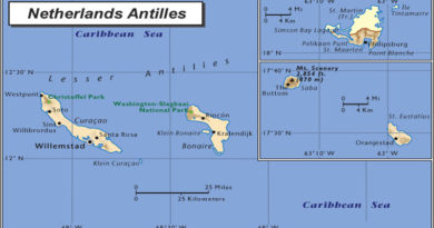 Аруба – это самый маленький из Подветренных островов, довольно плоский и очень засушливый с населением около 110 000 жителей. Здесь мало растительности, кроме кактусов, и очень красивые пляжи с белым песком