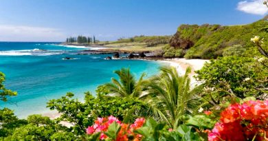 Гавайи – это идеальное место для отдыха мечты. С бесконечными пляжами, таинственными горами и вечным чувством романтики, витающим в воздухе.