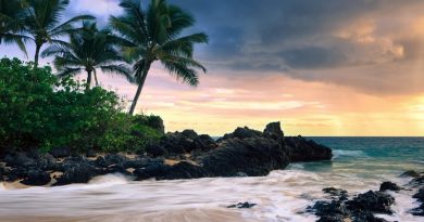 Большой остров придерживается более широкой программы Гавайев «Безопасное путешествие» для возобновления туризма