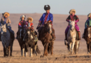 Для любителей активного отдыха верховая езда – это совершенно новый способ познакомиться с традициями кочевников и самыми красивыми районами Монголии.