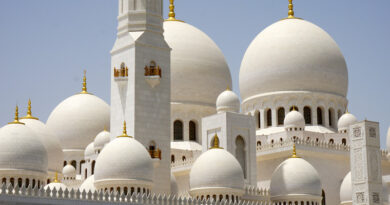 Некоторые из более крупных мечетей, такие как мечеть Джумейра, предлагают экскурсии для посетителей за 20 дирхамов ОАЭ