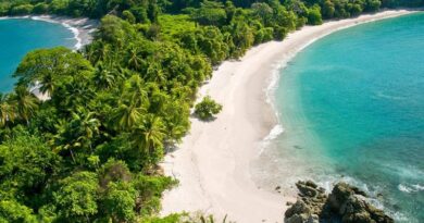 неудивительно, что путешественники отправляются в Коста-Рику познакомиться с одним из богатейших видов биологического разнообразия на планете. На самом деле, здесь находится самый высокий водопад в Центральной Америке – Эль-Сальто-дель-Кальво