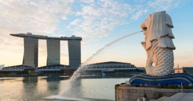 Часто несправедливо называемый чистым, стерильным и скучным, Сингапур, возможно, не обладает бурной энергией вечеринок Таиланда или расслабленной природной красотой Малайзии, но является одним из самых чистых, эффективных и приятных городов в юго-восточной Азии