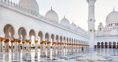 Благодаря своей потрясающей архитектуре это, безусловно, одна из самых красивых мечетей из существующих