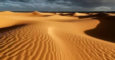 Это царство, где сходятся прошлое, настоящее и будущее, приглашая нас прикоснуться к чудесам, которые таятся в его зыбучих песках Сахары