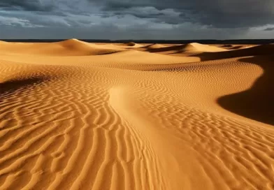 Это царство, где сходятся прошлое, настоящее и будущее, приглашая нас прикоснуться к чудесам, которые таятся в его зыбучих песках Сахары